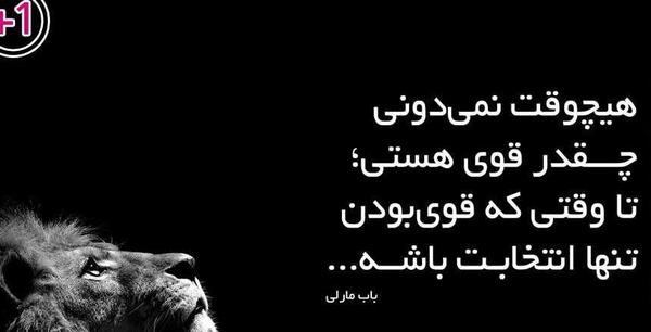 عکس نوشته قدرت شیر
