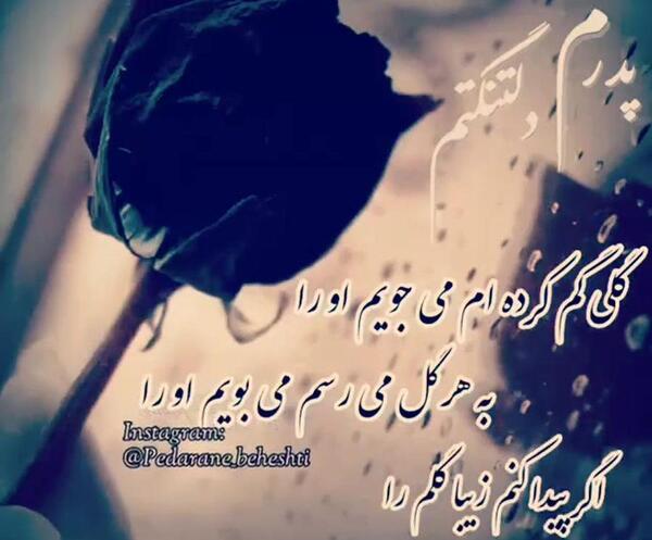 عکس نوشته گلی گم کرده ام