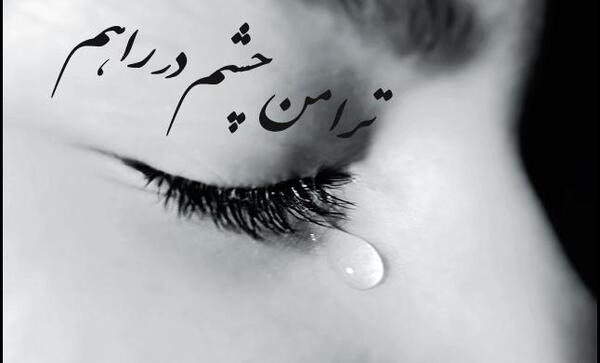 عکس نوشته گلی گم کرده ام
