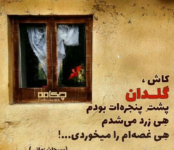 عکس نوشته همیشه برای گلی گلدان باش