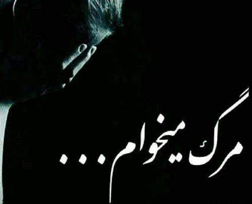 عکس نوشته همیشه برای گلی گلدان باش