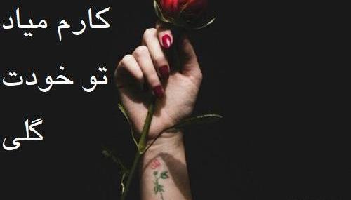 عکس نوشته تو گلی