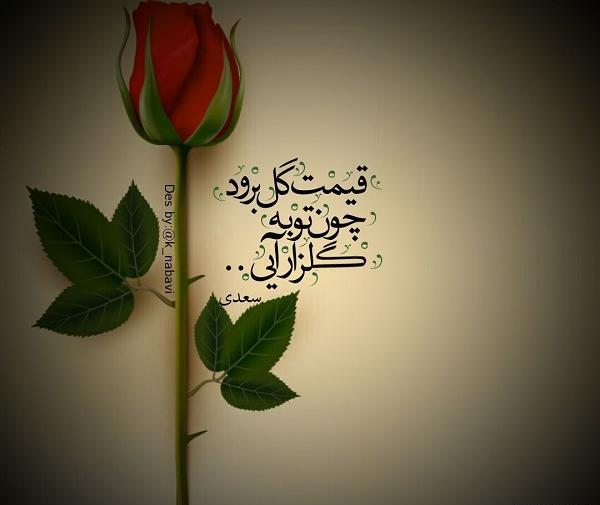 عکس نوشته تو گلی