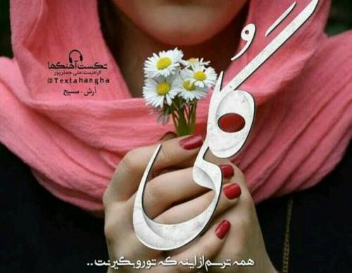 عکس نوشته تو گلی