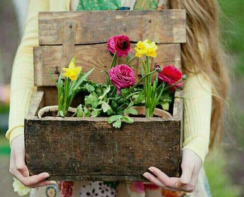 عکس نوشته وقتی گلی را دوست دارید
