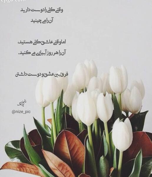 عکس نوشته وقتی گلی را دوست دارید