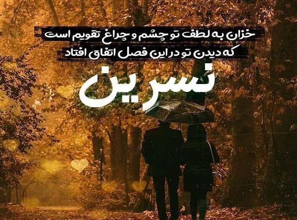 عکس نوشته محمد نسرین