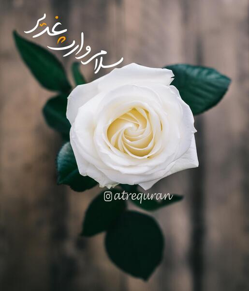 عکس نوشته مهدی وارث غدیر