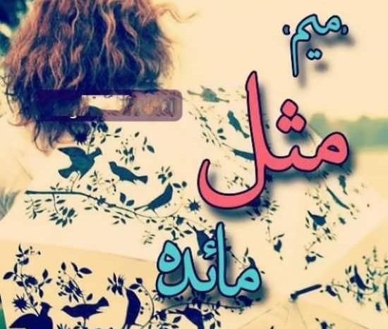 عکس نوشته با مائده