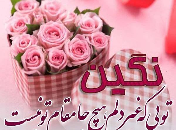 عکس نوشته نگین جون تولدت مبارک