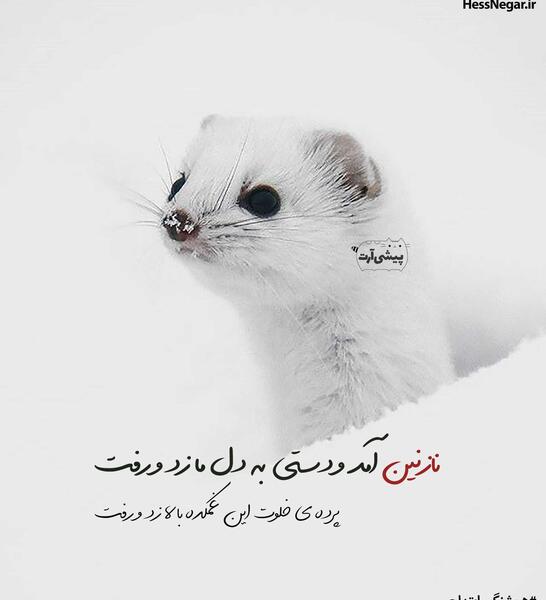 عکس نوشته شعر نازنین