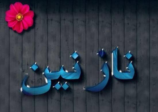 عکس نوشته های نازنین زهرا