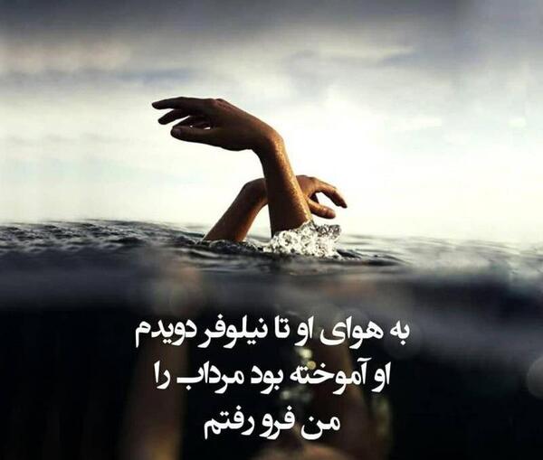 عکس نوشته نیلوفر مرداب