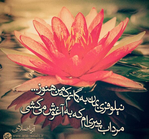 عکس نوشته نیلوفر مرداب