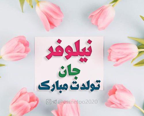 عکس نوشته نیلوفر جون تولدت مبارک