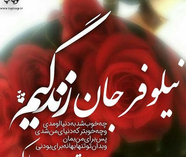 عکس نوشته تولد دخترم نیلوفر