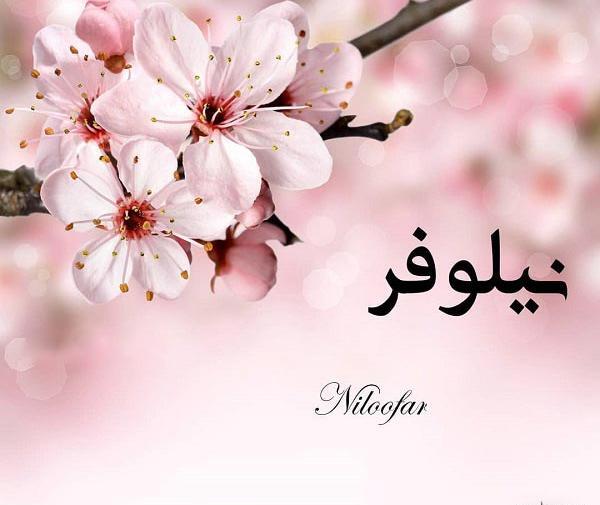 عکس نوشته درباره گل نیلوفر