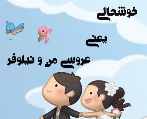 عکس نوشته اسم علی و نیلوفر