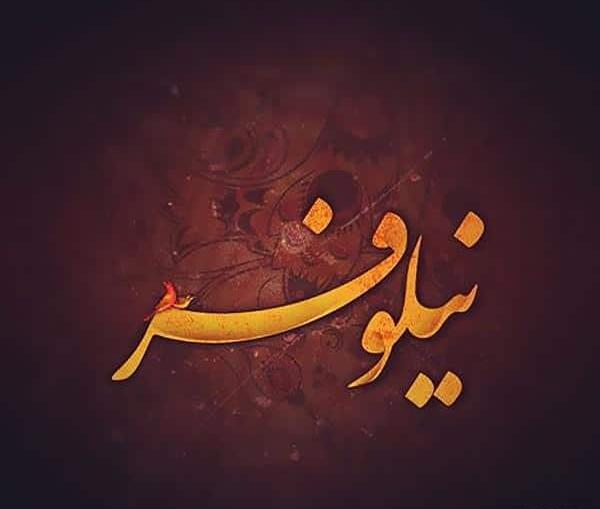 عکس نوشته اسم علی و نیلوفر