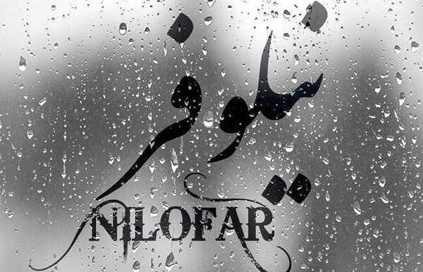 عکس نوشته در مورد نیلوفر
