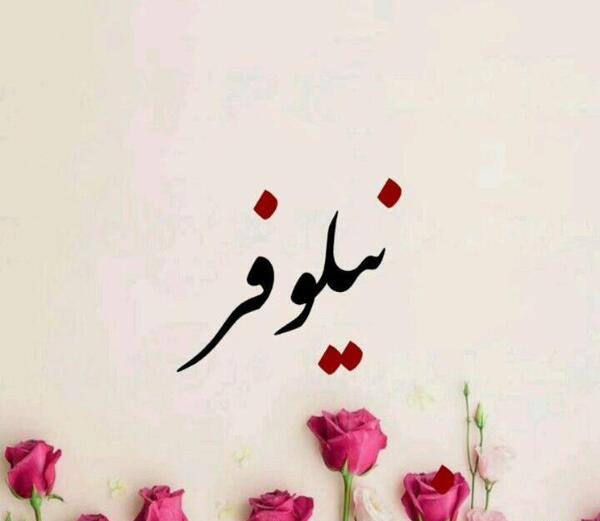 عکس نوشته نام نیلوفر