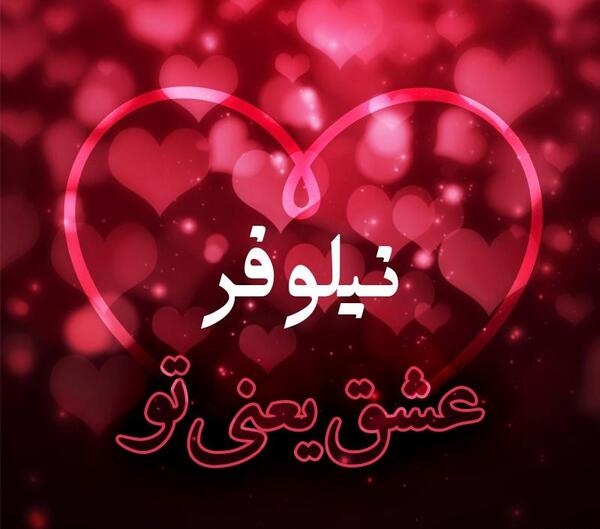 عکس نوشته مهدی و نیلوفر