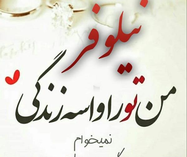 عکس نوشته مهدی و نیلوفر