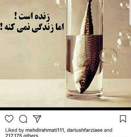 عکس نوشته فقط نفس میکشم