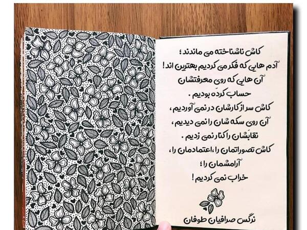 عکس نوشته نرگس صرافیان طوفان