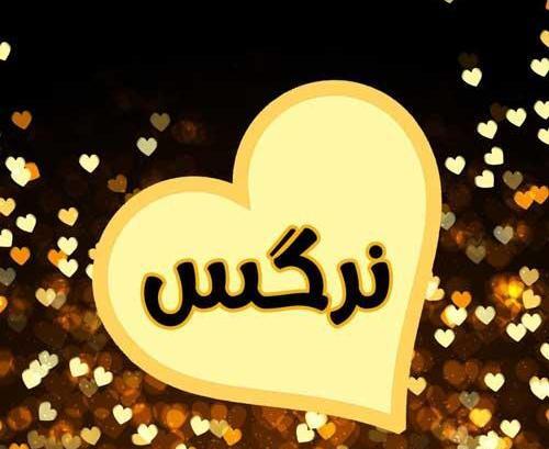 عکس نوشته اسم نرگس