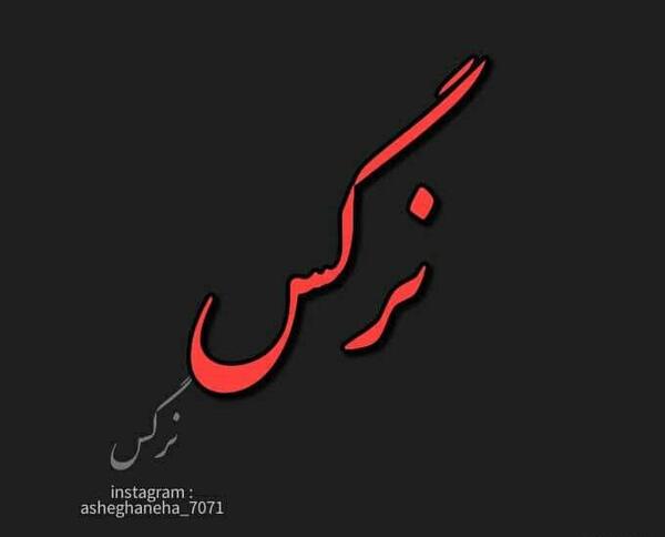 عکس نوشته اسم نرگس
