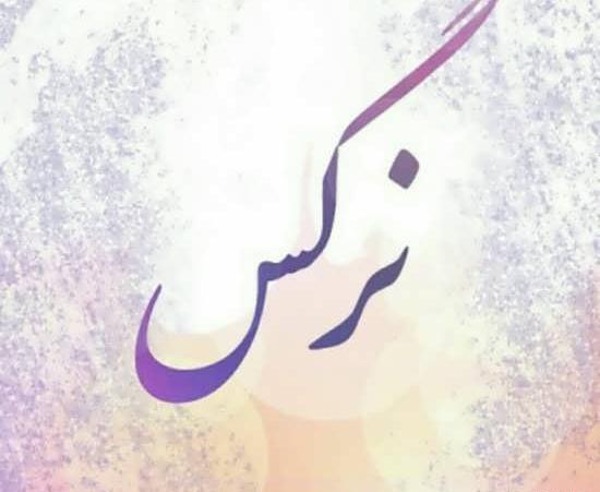 عکس نوشته اسم نرگس و محمد