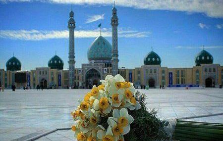 عکس نوشته زیبای گل نرگس