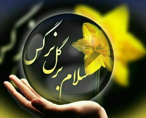 عکس نوشته سلام گل نرگس