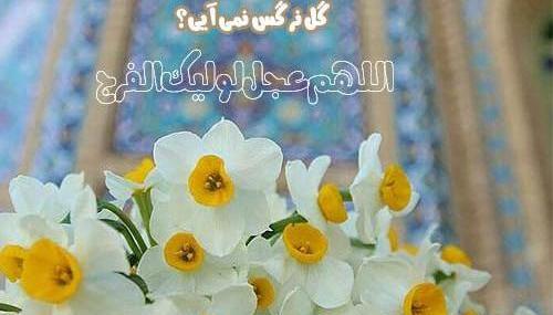 عکس نوشته سلام گل نرگس