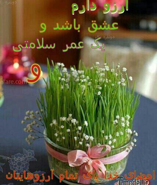 عکس نوشته بوی نو شدن می آید ولی تو همیشه