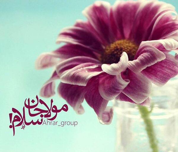 عکس نوشته آغاز امامت حضرت ولی عصر