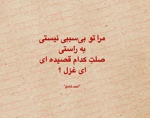 عکس نوشته من میفهمم ولی به روت نمیارم