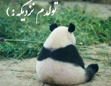 عکس نوشته تولدمه ولی غمگینم