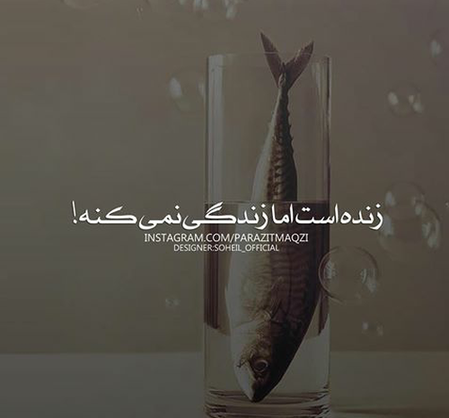 عکس نوشته زندس ولی زندگی نمیکنه