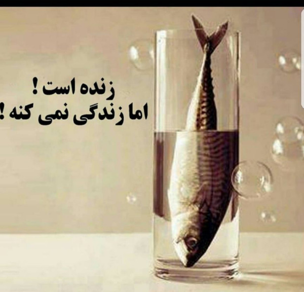 عکس نوشته زندس ولی زندگی نمیکنه