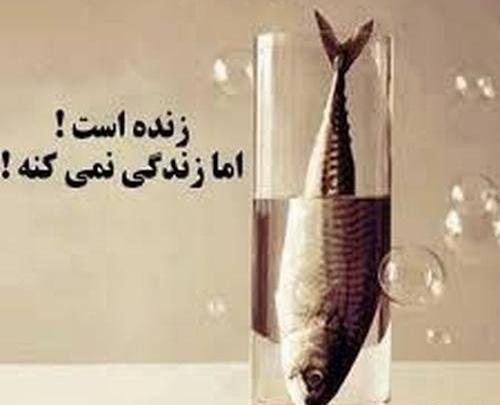 عکس نوشته زندس ولی زندگی نمیکنه