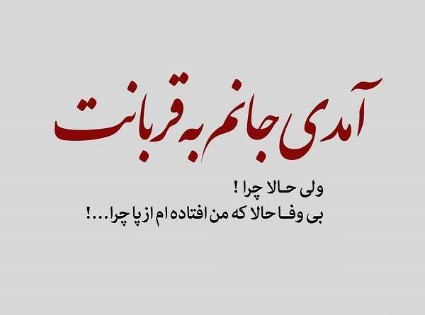 عکس نوشته آمدی جانم به قربانت ولی حالا چرا