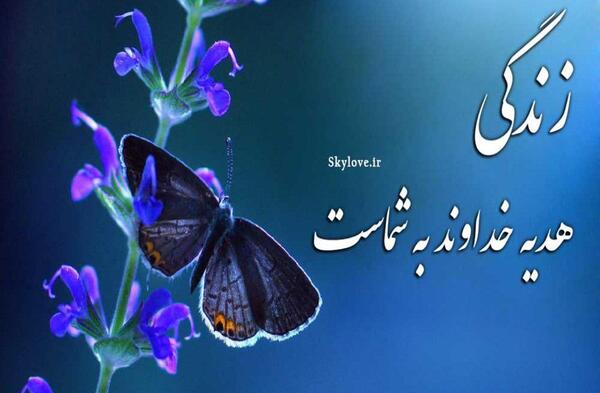 عکس نوشته هدیه خدا