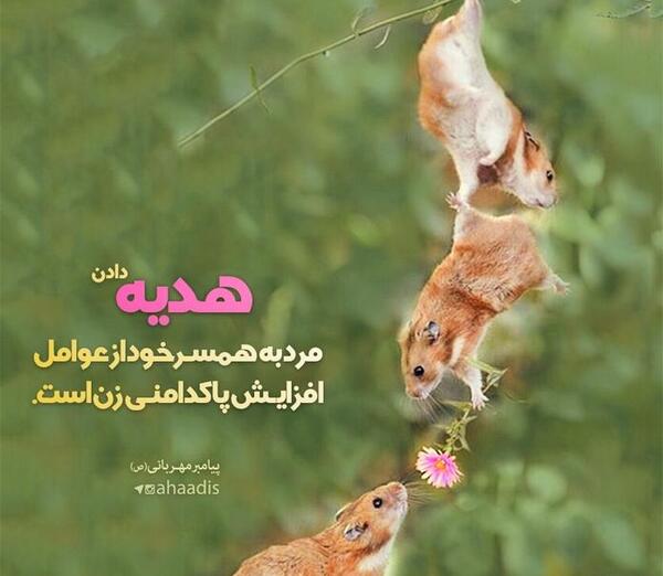 عکس نوشته از هدیه دادن