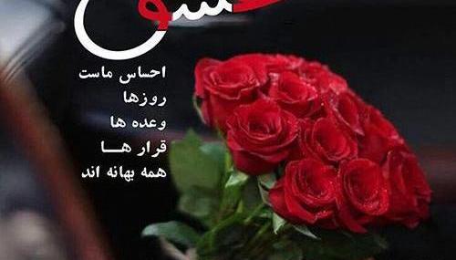 عکس نوشته هدیه بی مناسبت
