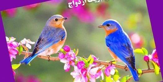 عکس نوشته روی کارت هدیه