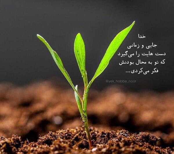 عکس نوشته یزدان تو را سپاس