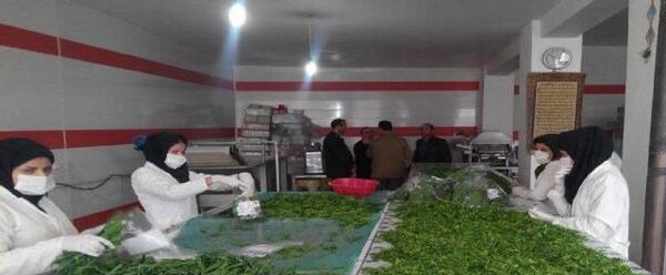 عکس محدثه سبزی پور