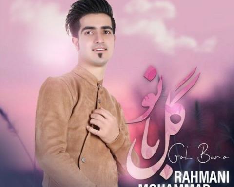 عکس امیر محمد رحمانی
